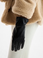 Перчатки женские, без утеплителя, безразмерные, чёрные 10450749