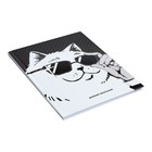 Дневник тв обл 5-11кл 48л Кот, обл 7БЦ, гл лам, бл 60г/м2 - фото 24753089