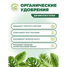 Органическое удобрение "Green Life" для фикусов и пальм, 0,5 л - Фото 3