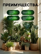 Органическое удобрение для фикусов и пальм Greenlife, 500 мл - Фото 3