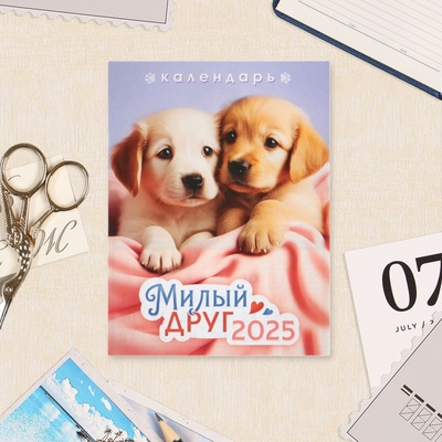 Календарь отрывной на магните «Милый друг» 2025 год, 9.5×13 см