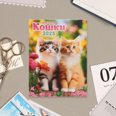 Календарь отрывной на магните "Милые кошки" 2025 год, 9,5 х 13 см