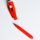 Набор для опытов «Смешарики: Крош и Нюша», 7 опытов, в пакете - Фото 5