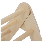 Детский спортивный комплекс «Треугольник Пиклера» - фото 26834549