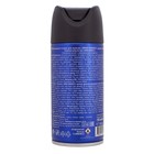 Дезодорант-спрей для мужчин VIKING wind energy, 150 мл - фото 24747560