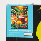 УЦЕНКА Картина по номерам на холсте с подрамником «Праздник к нам приходит» 30×40 см - Фото 3