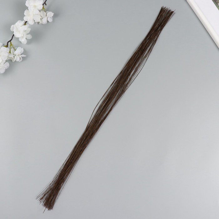 

Проволока для изготовления искусственных цветов "Кофе" обмотка бумага 60 см сечение 0,3 мм 1042482