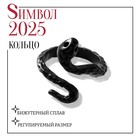 Новый год! Символ года 2025! Кольцо «Змея» мини, цвет чёрный, безразмерное - фото 322031757