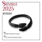 Новый год! Символ года 2025! Кольцо «Змейки» встреча, цвет чёрный, безразмерное - фото 112276038