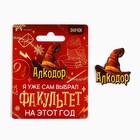 Значок новогодний «Новый год: факультет Алкодор» 3,7 х 4 см 10462331 - фото 13245698