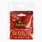 Значок новогодний «Новый год: факультет Алкодор» 3,7 х 4 см 10462331 - фото 13245704