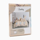 Комплект постельного белья Newday 2 сп Soft time 175*215см,180*215см, 50*70см-2 шт, полисатин, 80 г/м² - Фото 5