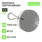 Портативная колонка Maimi F6, microUSB, FM, BT 5.1, 1200 мАч, серебристая - фото 322031896