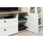 Тумба под ТВ Остин 16.47, 1600х419х608, Белый мдф/Дуб золотой - Фото 2