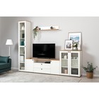 Тумба под ТВ Остин 16.47, 1600х419х608, Белый мдф/Дуб золотой - Фото 6