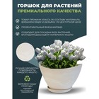 Горшок для цветов и растений с поддоном, белый камень Лодочка 41х30х24см, 11л - Фото 5
