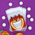 Пакет БОПП подарочный с липкой лентой, «Праздничное ассорти», 10×10+3 см - Фото 2