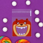 Пакет БОПП подарочный с липкой лентой, «Праздничное ассорти», 10×10+3 см - Фото 4