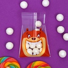 Пакет БОПП подарочный с липкой лентой, «Праздничное ассорти», 10×10+3 см - Фото 5