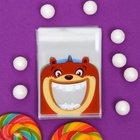 Пакет БОПП подарочный с липкой лентой, «Праздничное ассорти», 10×10+3 см - Фото 7