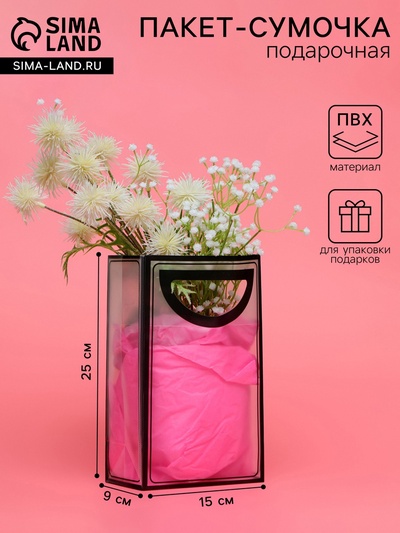 Пакет ПП с вырубной ручкой, прозрачный, 25×19×9 см, чёрный