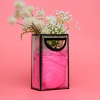 Пакет ПП с вырубной ручкой, прозрачный, 25×19×9 см, чёрный - Фото 2