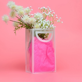 Пакет ПП с вырубной ручкой, прозрачный, 25?19?9 см, белый (комплект 2 шт)