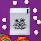 Пакет БОПП подарочный с липкой лентой, «Счастья», 7×7+3 см - Фото 7