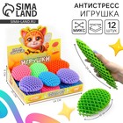 Развивающая игрушка "Растяни", цвета МИКС, в шоубоксе - фото 321859208