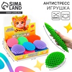 Развивающая игрушка «Растяни», МИКС, в шоубоксе - Фото 1
