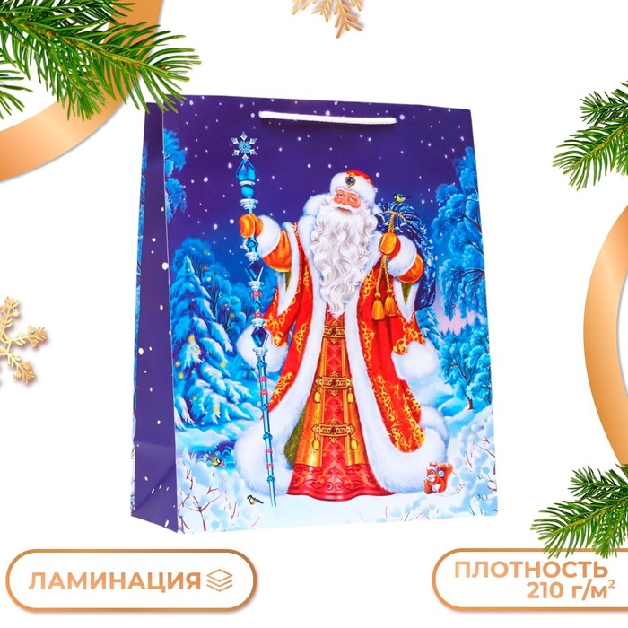 

Новый год. Пакет подарочный "Дед мороз", 26 х 32 х 12 см.