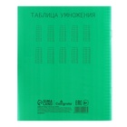 Тетрадь 18 листов в клетку Calligrata, пластиковая обложка, с таблицей умножения, блок офсет, зеленая (комплект 10 шт) - фото 25295572