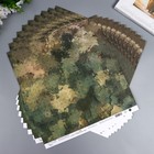 Набор бумаги для скрапбукинга (10 листов) "Вокруг меня Хаки 3" 30,5x30,5 см, 190 гр/м2 - фото 25295987