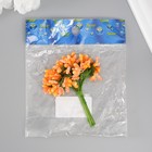 Набор декоративных букетиков (12 шт) "Ягодки" длина 9,5 см, оранжевый - фото 25296017