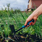 Набор садового инструмента Greengo, 2 предмета: мотыжка, совок, длина 31 см, пластиковые ручки - Фото 15