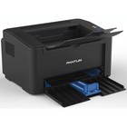 Принтер лазерный Pantum P2500NW A4 Net WiFi черный - фото 51620379 Принтер лазерный Pantum P2500NW A4 Net WiFi черный - фото 51620379