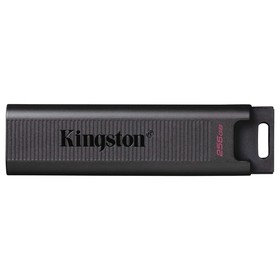 Флешка Kingston 256GB DataTraveler Type-C Max DTMAX/256GB USB3.2 черный