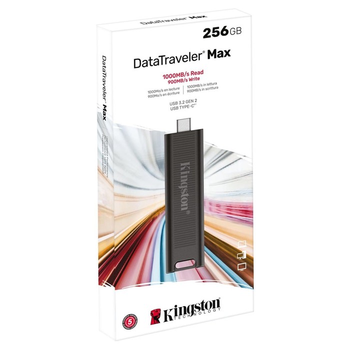 Флешка Kingston 256GB DataTraveler Type-C Max DTMAX/256GB USB3.2 черный - фото 51620711