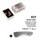 Акварель художественная кювета 2,5 мл ЗХК "Белые ночи" серая, 1911837 - фото 25296521