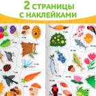 Книжка - раскраска с наклейками «Обведи, раскрась, наклей. Лесные животные» - Фото 5