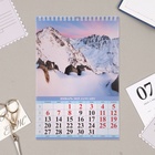 Календарь на пружине без ригеля "Горные пейзажи" 2025 год, 17 х 25 см - Фото 2