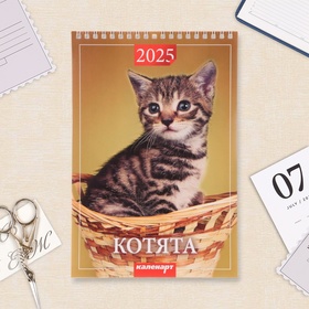 Календарь на пружине без ригеля "Котята" 2025 год, 17 х 25 см 10623229