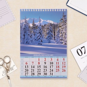Календарь на пружине без ригеля «Природа» 2025 год, 17×25 см