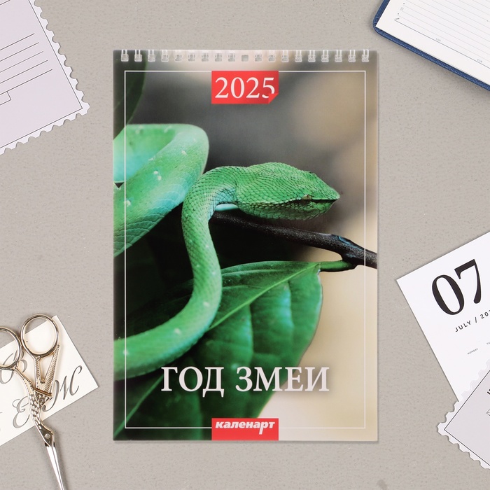 Календарь на пружине без ригеля "Символ Года Вид - 1" 2025 год, 17 х 25 см - Фото 1