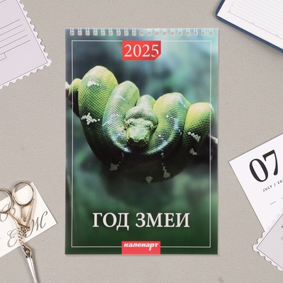 Календарь на пружине без ригеля "Символ Года Вид - 2" 2025 год, 17 х 25 см