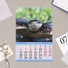 Календарь на пружине без ригеля "Символ Года Вид - 2" 2025 год, 17 х 25 см - Фото 2