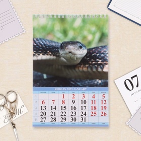 Календарь настенный 2025 год, на пружине без ригеля «Символ Года» 17×25 см