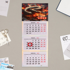 Календарь квартальный мини-трио "Символ года - 2" 2025 год, 19 х 46 см - Фото 1