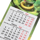 Календарь мини-трио "Символ года - 9" на магните,  2025 год, 24,5 х 11 см - Фото 3