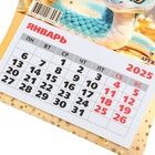 Календарь отрывной на магните "Богатства и процветания!" символ года, 2025 год, 13 х 15 см - Фото 3